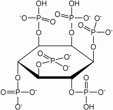 Phytic Acid Food Chart