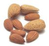 almond.jpg