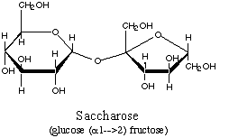 sucrose